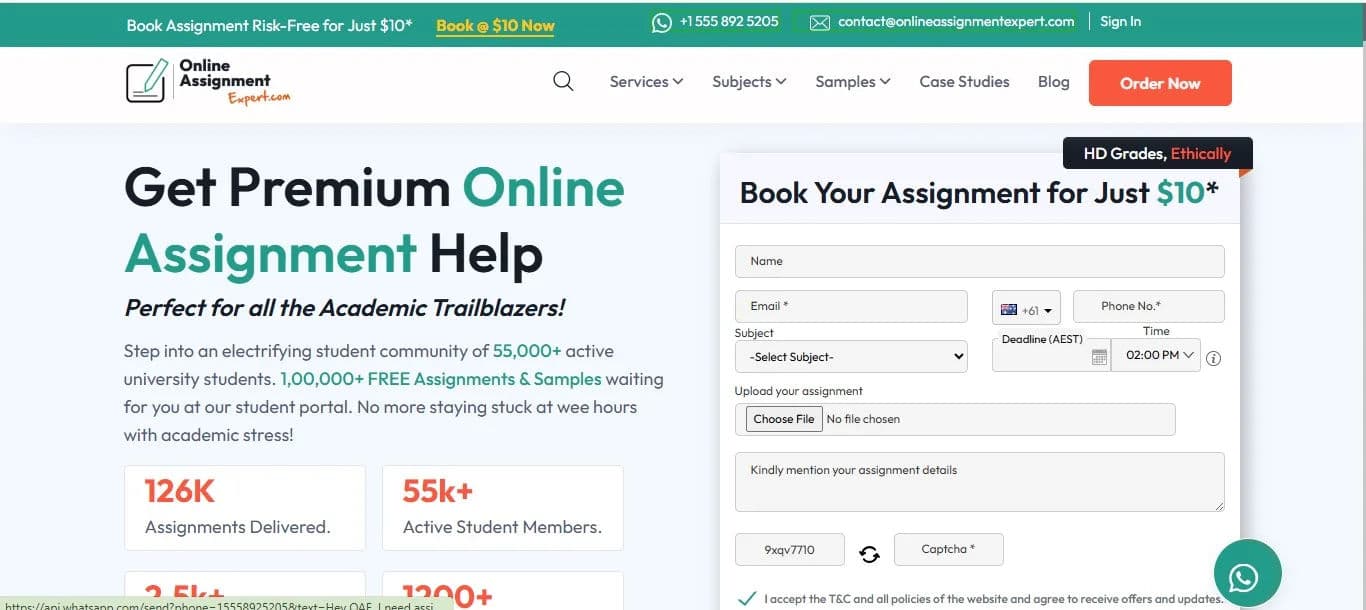 Online Assignment Expert