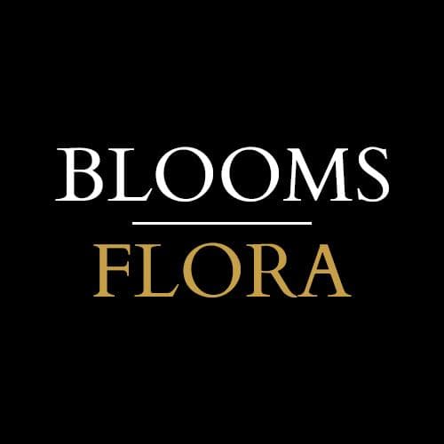 BloomsFlora | Flower Delivery India | Flowers, Cakes, Gift Hampers, Plants, & Chocolates