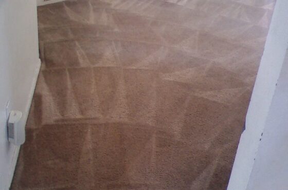 Carpet Clinic of Orlando
